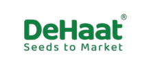 Company Logo 14
