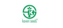 Company Logo 29