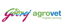 Company Logo 45