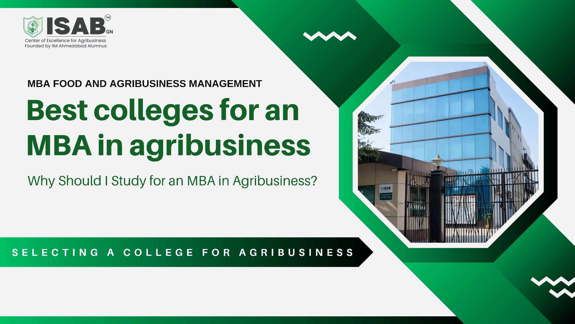 what-are-the-best-colleges-for-an-mba-in-agribusiness