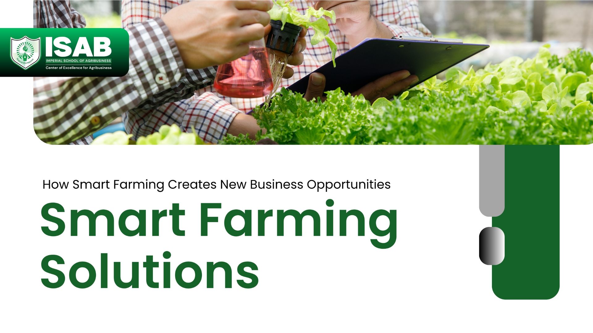 how-smart-farming-creates-new-business-opportunities